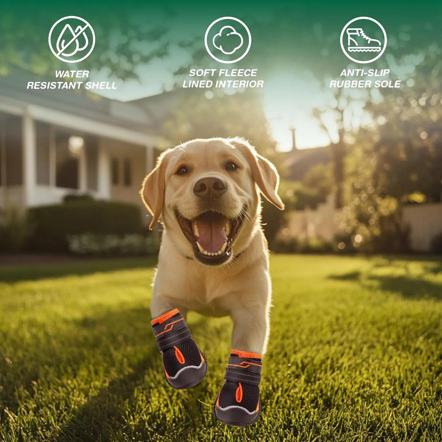 Dog Shoes for Large Dogs, Anti-Slip Dog Boots for Winter Snow, Hot Pavement, Dog Booties & Paw Protectors for Hardwood Floors Size 6