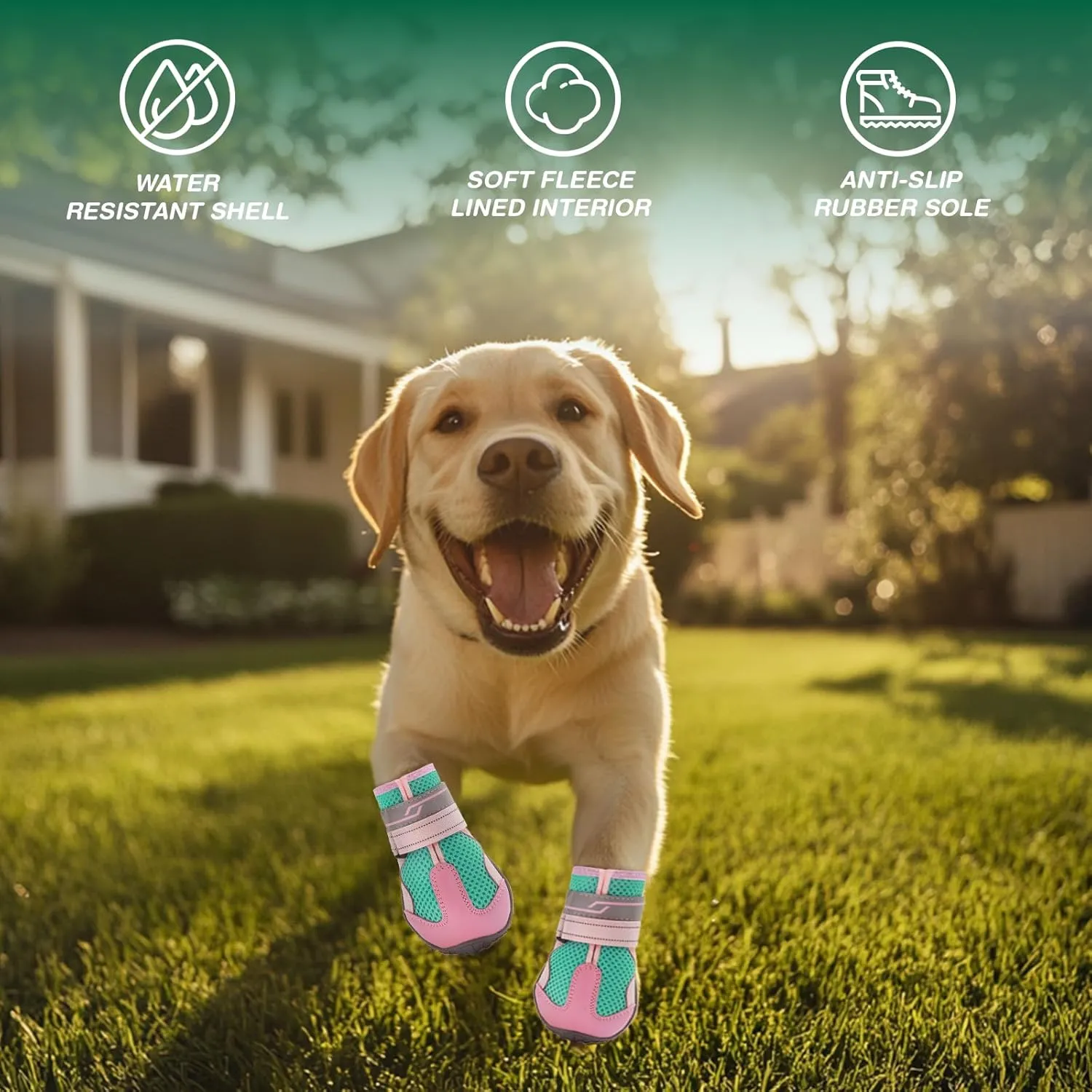 Dog Shoes for Medium Dogs, Large Dog Boots for Winter Snow, Hot Pavement, Dog Booties & Paw Protectors Size 4