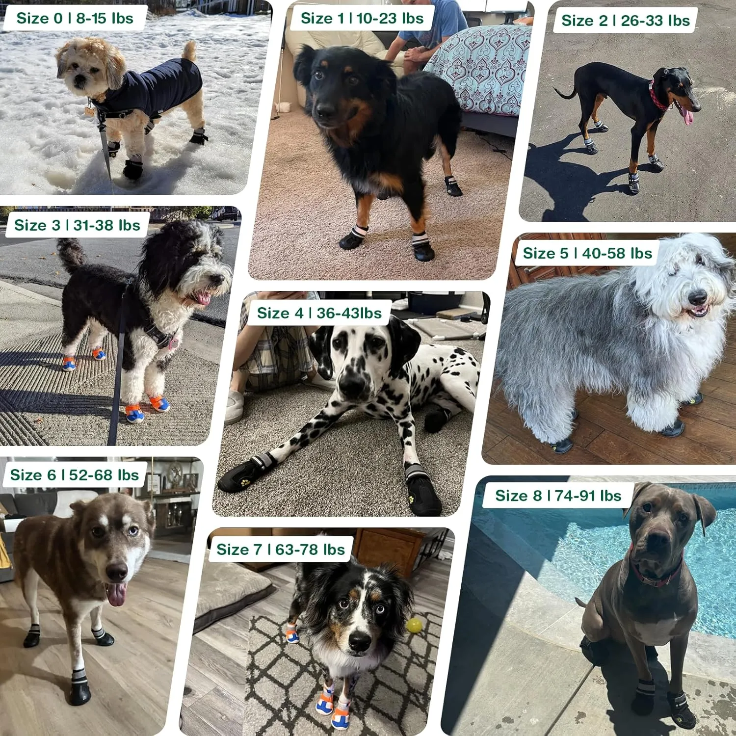 Dog Shoes for Medium Dogs, Large Dog Boots for Winter Snow, Hot Pavement, Dog Booties & Paw Protectors Size 4